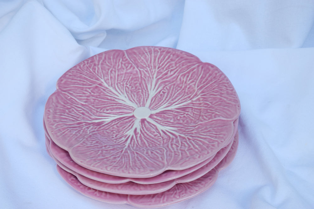 Pink Cabbage Plates My Store