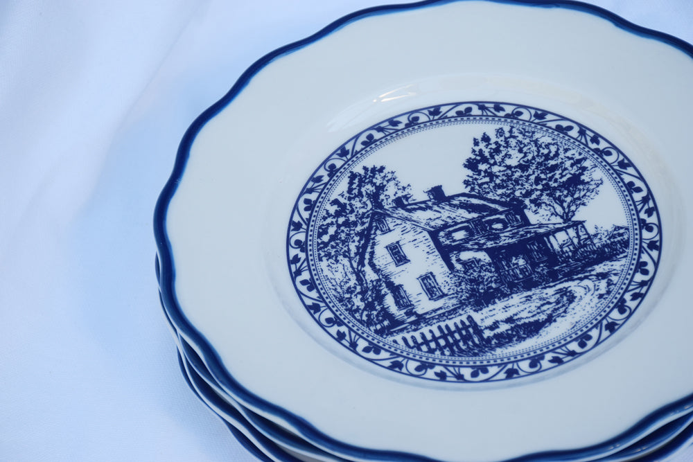 Chinoiserie Sketched Blue and White Plates My Store