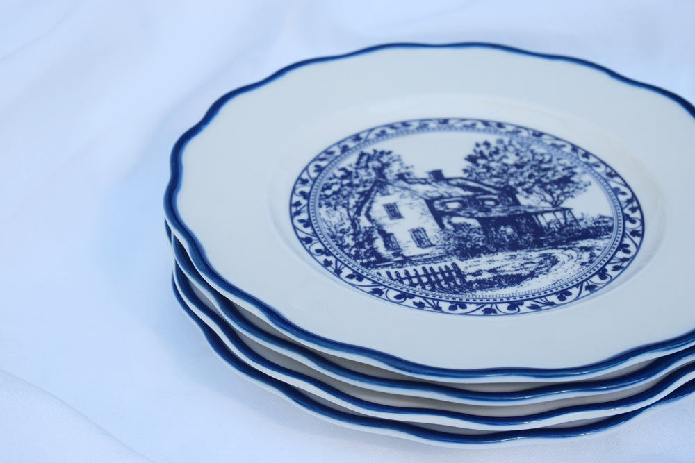 Chinoiserie Sketched Blue and White Plates My Store