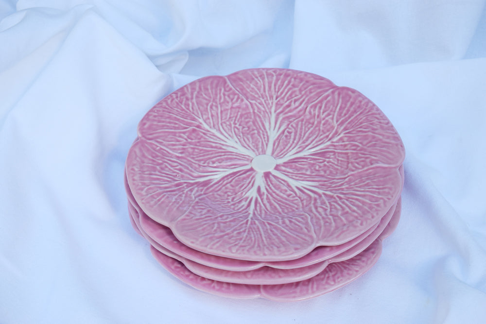 Pink Cabbage Plates My Store