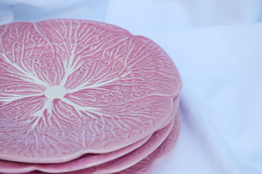 Pink Cabbage Plates My Store