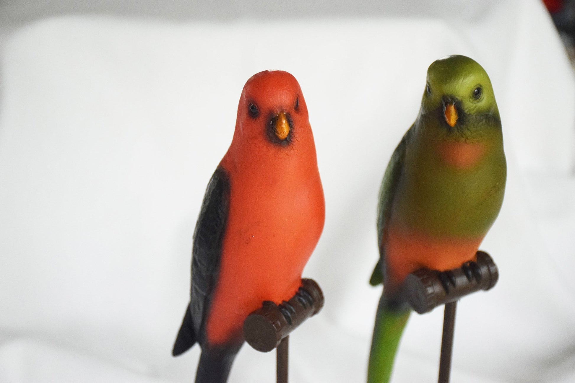 Pair of Decorative Australian Parrots My Store
