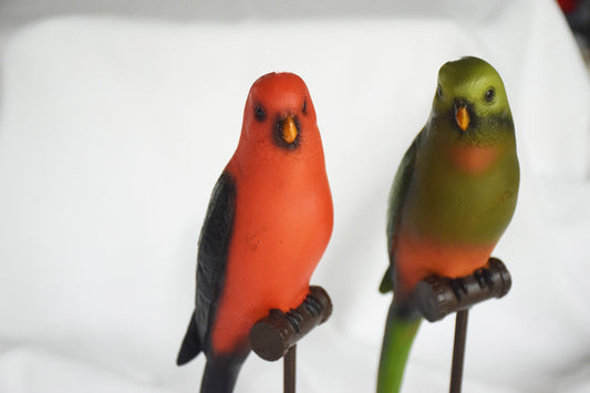Pair of Decorative Australian Parrots My Store